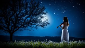 Woman Playing the Violin In Nature at Night - FREE Download